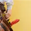 Handyman repair service in Ogden, UT for home fixes and improvements